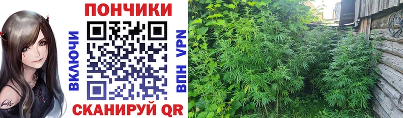 Наркотические вещества Мурманск Alpha-PVP  Каннабис  Codein  АМФ  ГАШИШ  Мефедрон 