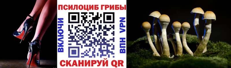 Псилоцибиновые грибы мухоморы Мурманск